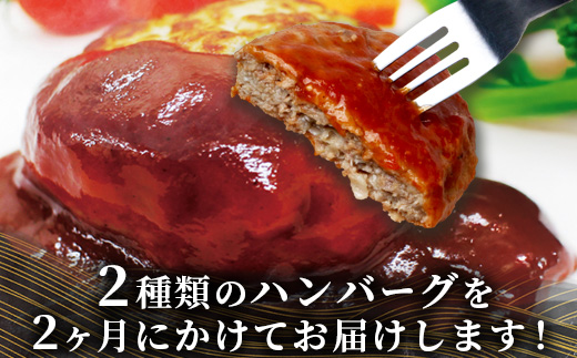 【定期便2回】 人気 ハンバーグ 食べ比べ 定期便 A【計3kg】 自家製豆腐のハンバーグ ／ 4種ソースのレンチンバーグ バラエティ 定期便 豆腐 肉 温めるだけ 熊本県産 092-0024