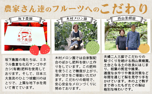 【フルーツ定期便3回】2026年発送 いちご・メロン・梨【各 2品種】食べ比べ 3回配送 数量限定 多良木町産 東光寺梨 西山果樹園 木村メロン園 坂下農園 イチゴフルーツ 果物 名産 熊本 多良木町 旬
