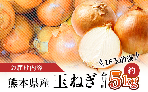 【先行予約】熊本県産 玉ねぎ 5kg (16玉前後) ≪2025年4月下旬から順次発送≫ 玉葱 野菜 数量限定 JAS たまねぎ オニオン 甘い ハンバーグ 肉じゃが 065-0636