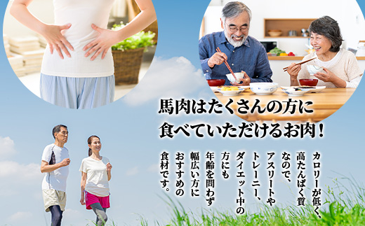 【定期便 6回】熊本県 3種の馬刺し 300ｇ×6回配送【 赤身・フタエゴ・サガリ各100g 】 本場 馬刺し 定期便 6カ月 配送 冷凍 馬肉 定番 熊本県 多良木町 030-0713