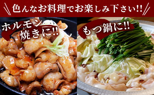 【年内お届け】熊本県産 あか牛 ミックス ホルモン 2kg（500g×4パック）※12月18日～28日発送※  年内発送 年内配送 クリスマス