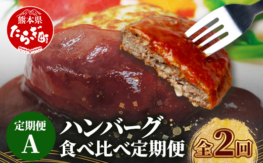 【定期便2回】 人気 ハンバーグ 食べ比べ 定期便 A【計3kg】 自家製豆腐のハンバーグ ／ 4種ソースのレンチンバーグ バラエティ 定期便 豆腐 肉 温めるだけ 熊本県産 092-0024