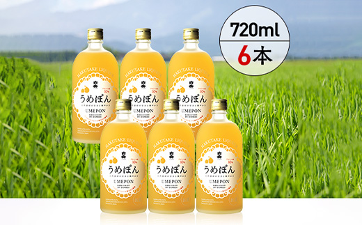 白岳 うめぽん 梅酒 10度 720ml ×6本セット 計4.32L 【 はくたけ 白岳 うめぽん 梅酒 お酒 酒 焼酎 】 018-0215