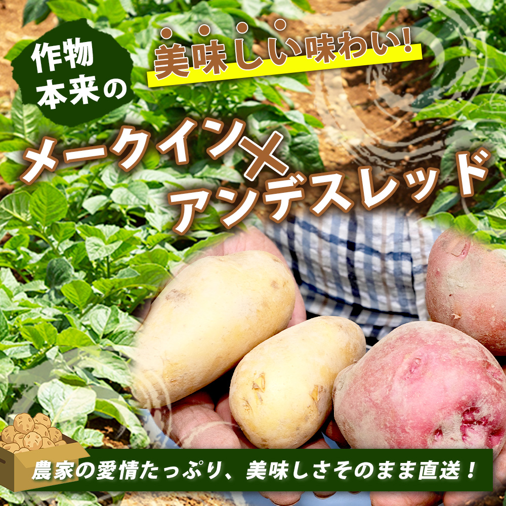 倧森ããã® ããããã é£ã¹æ¯ã¹ã»ãã çŽ5kg ã¡ãŒã¯ã€ã³ ïŒã¢ã³ãã¹ã¬ãã çæ¬ç å€è¯æšçºç£ ãžã£ã¬ã€ã¢ ãããè éè ããã æ°ééå® 065-0701