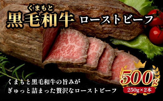 絶品! 熊本県産 黒毛和牛 ローストビーフ 500g 《 黒毛 和牛 100％ 国産 霜降り 赤身 ブランド牛 上質 ごちそう ロースト ビーフ 常備 冷凍 熊本県 》 113-0510