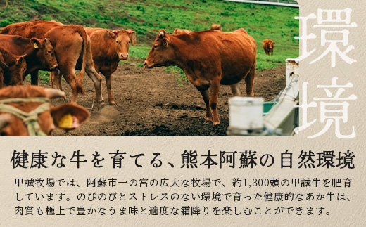 熊本県産 あか牛 【 ランプステーキ 150g×2枚 計300g 】 本番 熊本 あか牛 赤身 和牛 牛肉 ステーキ 記念日 ご馳走 冷凍 牛肉 ランプ 褐毛和種 牛肉 肉 046-0242