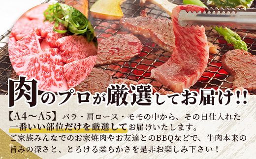 【 A4〜 A5 等級 】くまもと黒毛和牛 焼肉用 500ｇ【 ブランド 牛肉 肉 やき肉 焼き肉 バラ ロース モモ 和牛 国産 熊本県 上級 上質 】