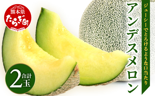 【2026年5月上旬発送開始】熊本県産 アンデスメロン 2玉 計約約2.5kg以上 【 アンデス メロン フルーツ 果物 くだもの 熊本県 多良木町 】 083-0697