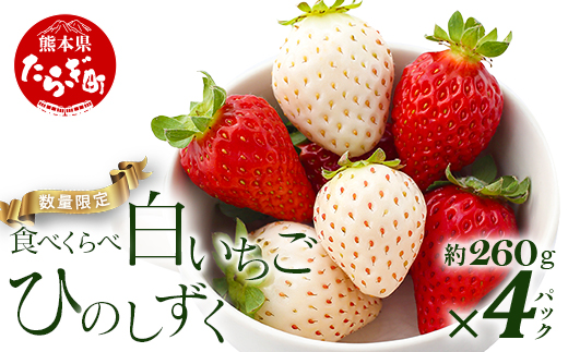 【先行予約】熊本県産 いちご【ひのしずく・白いちご】食べ比べセット 約260g×各2パック (合計4パック ) ≪ 苺 イチゴ 数量限定 坂下農園 イチゴ 1040g 苺 フルーツ 果物 熊本 多良木町 ≫103-0008