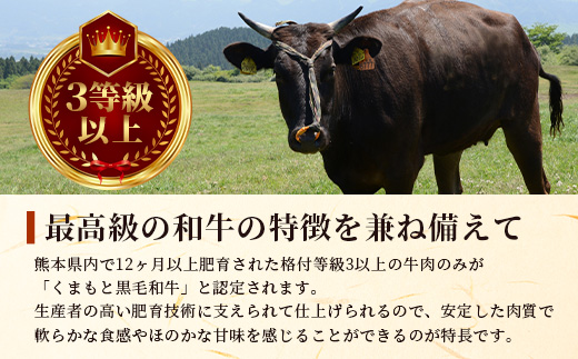 【 A4〜 A5 等級 】くまもと黒毛和牛 焼肉用 500ｇ【 ブランド 牛肉 肉 やき肉 焼き肉 バラ ロース モモ 和牛 国産 熊本県 上級 上質 】