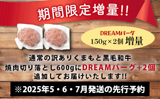 《R7.5・6・7・8・9月発送 限定 増量 》【訳あり】くまもと 黒毛和牛 焼肉 切り落とし 600g ＋ DREAMバーグ150ｇ×2個 【合計 900g】本場 熊本県 黒毛 和牛 ブランド 牛 肉 焼き肉 ハンバーグ 上質 くまもと 訳アリ 113-0534