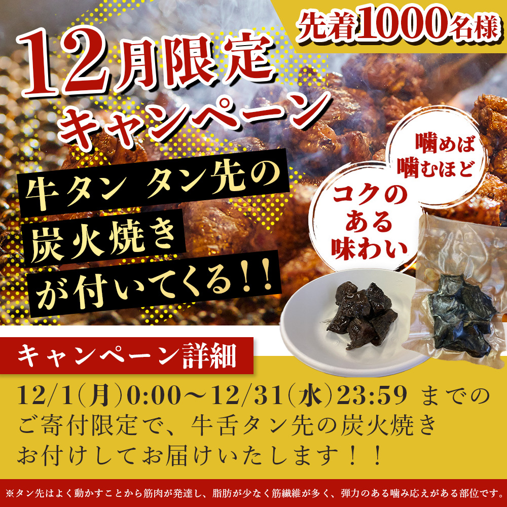 ※12月寄附限定 タン先炭火焼付※【 厚切り 】牛 ハラミステーキ【500g】 焼肉 ハラミ 焼き肉 はらみ 塩味 牛肉 肉 冷凍 小分け パック キャンプ バーベキュー 067-0678