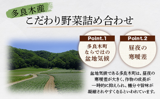 【定期便12回】熊本の大地の恵み 旬の こだわり野菜詰め合わせセット 8〜12品 （3〜4名様向け）12カ月配送 獲れたて 新鮮 野菜 セット 詰め合わせ 詰合せ 定期便 産地 直送 国産 季節 旬野菜 家族 ファミリー 多良木町 024-0812