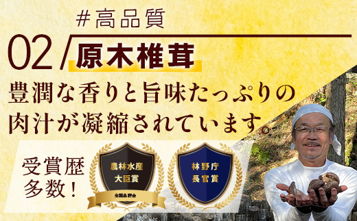 たらぎジビエやさいスープ 3袋 【 ジビエ 猪肉 猪 イノシシ 野菜 やさい スープ 野菜スープ やさいスープ オニオン 】 024-0674 