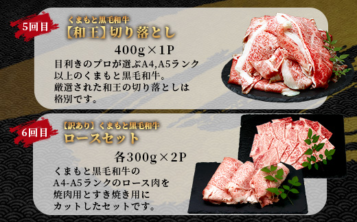 【定期便6回】くまもと黒毛和牛 味わい定期便～合計 3kg 《 黒毛 和牛 ロース 焼き肉 すき焼き 切り落とし 赤身 スライス 和王 》 肉 すき焼き 焼肉 霜降り 上質 ブランド牛 国産 牛肉 冷凍 熊本県 113-0521