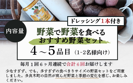 【定期便 6回】野菜ソムリエ 監修 旬の おすすめ 野菜＆野菜で野菜を食べる ドレッシング 定期便 (4〜6種類) 野菜 獲れたて 直送 旬 新鮮 セット 詰め合わせ 詰合せ 定期便 産地 直送 国産 旬 野菜 ひとり暮らし 夫婦 熊本県 多良木町 ドレッシング 024-0807