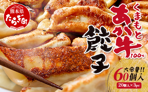 【餃子】 くまもとあか牛 100％ 餃子 計60個（20個×3パック） 冷凍 熊本県産 あか牛 ぎょうざ 惣菜 おかず 和牛 牛肉 お手軽 簡単 073-0403