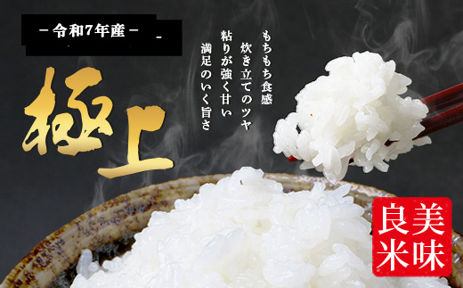 【 令和7年産 新米 先行予約 】 多良木町産 ぴかまる 5kg （ 令和7年10月下旬より順次発送 ）新米 農家が食べる お米 5キロ 甘み 米 美味しい米 米 白米 精米 熊本 065-0640