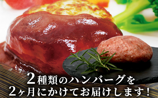 【定期便2回】 人気 ハンバーグ 食べ比べ 定期便 B <自家製豆腐 ハンバーグ ／ くまもと黒毛和牛 生ハンバーグ> 【合計3kg】 バラエティ 定期便 豆腐 牛肉 肉 熊本県産 092-0025