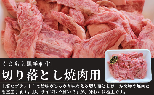 【G1認証】くまもと黒毛和牛 切り落とし 500g【 ブランド 牛肉 贅沢 切り落とし 熊本県産 熊本 肉 高級 黒毛和牛 和牛 熊本 多良木 】100-0010