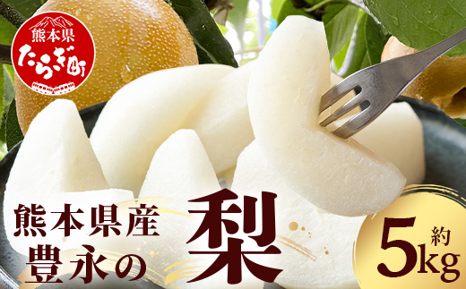 【2026年8月中旬〜10月発送分】豊永の 梨 約5kg 熊本県産 幸水 新高 新興 豊水 秋月 秋麗 果物 フルーツ 070-0592