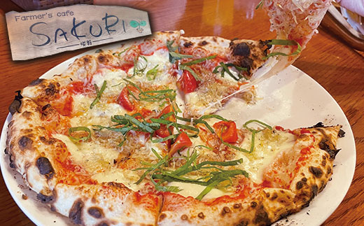 本格 石窯焼き 冷凍 Pizza 5枚 ＆ ジェノベーゼ ソース 約21cm ピザ 【 本格 石窯焼き 冷凍 ピザ ピッツァ ジェノベーゼ ソース パン 】059-0282