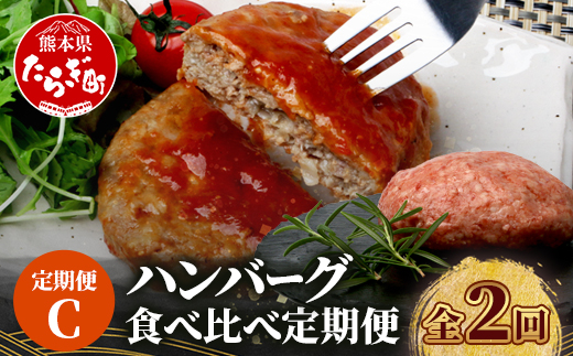 【定期便2回】 人気 ハンバーグ 食べ比べ 定期便 C レンチン ハンバーグ 4種のソース ／ くまもと黒毛和牛 生ハンバーグ バラエティ 定期便 豆腐 牛肉 肉 熊本県産 092-0026