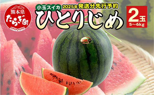 【2025年5月～6月発送 先行予約】小玉スイカ ひとりじめ (2玉) 令和7年 夏 スイカ 食べきりサイズ 西瓜 フルーツ 果物 旬の味覚 すいか 甘い 産地直送 008-0663