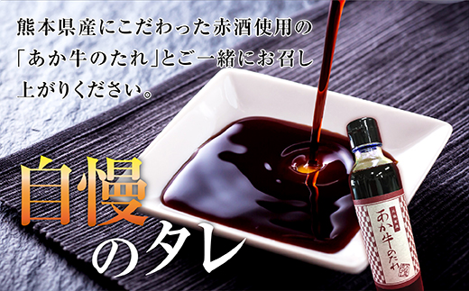 あか牛 100％ ハンバーグ 120g×6個 あか牛のたれ200ml セット 046-0455