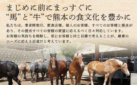 熊本特産 馬刺し 食べ比べ 堪能セット 合計310g 【 上赤身 ・ ユッケ ・ ネギトロ ・ 赤身 】ソムリエ セレクト 104-0005