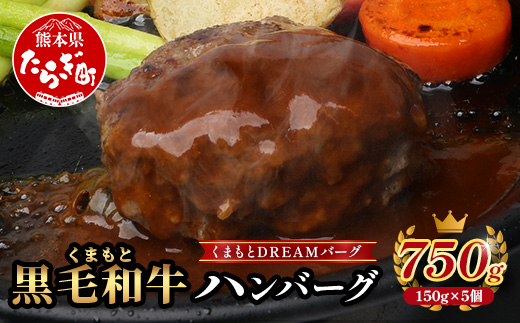 くまもと黒毛和牛 《 DREAMバーグ 150g×5パック 計750g 》 牛肉 100％ 国産 ハンバーグ 熊本 ブランド牛 黒毛 和牛 上質 はんばーぐ 惣菜 熊本県 113-0508