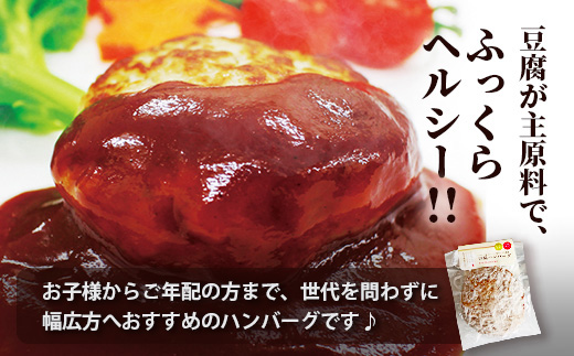 【定期便2回】 人気 ハンバーグ 食べ比べ 定期便 B <自家製豆腐 ハンバーグ ／ くまもと黒毛和牛 生ハンバーグ> 【合計3kg】 バラエティ 定期便 豆腐 牛肉 肉 熊本県産 092-0025