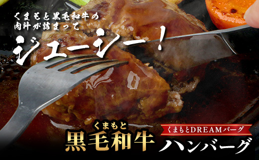 【定期便2回】 人気 ハンバーグ 食べ比べ 定期便 C レンチン ハンバーグ 4種のソース ／ くまもと黒毛和牛 生ハンバーグ バラエティ 定期便 豆腐 牛肉 肉 熊本県産 092-0026