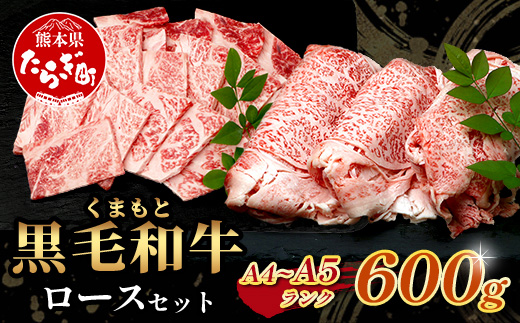 【年内お届け】A4・A5 くまもと黒毛和牛 ロース セット 計600g ( すき焼き / 焼肉 各300g ) ※12月18日～28日発送※ 本場 熊本県 ブランド 牛 黒毛 和牛 厳選 A4 等級以上 A5 肉 上質  年内発送 年内配送 クリスマス