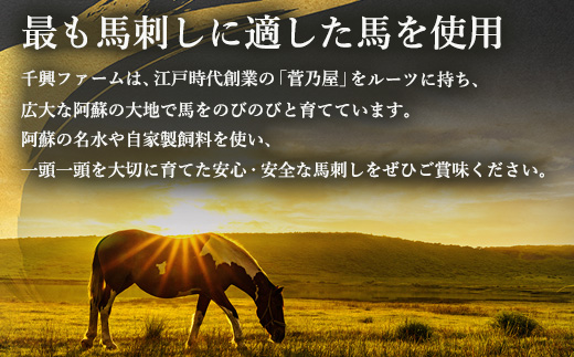 6種 馬肉 バラエティ 約540g 食べ比べ 冷凍 馬刺し 熊本 国産 馬肉ハンバーグ 刺身 生食 新鮮 ユッケ さばきたて SQF 安全 高品質 ハンバーグ 詰め合わせ 赤身 熊本 国産 小分け 031-0437