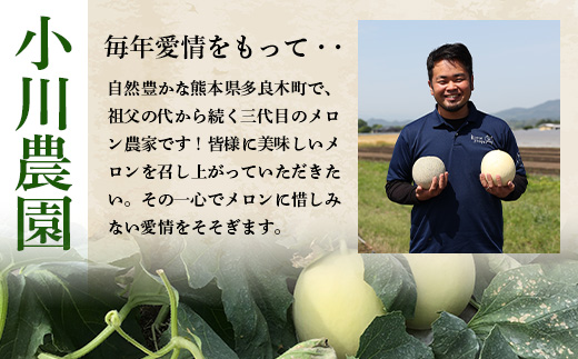 【2025年4月中旬発送開始】熊本県産 アンデスメロン 5玉 約5kg 【 アンデス メロン フルーツ 果物 くだもの 熊本県 多良木町 】 083-0696