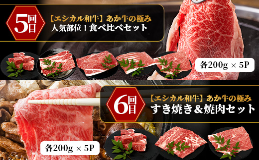 【 定期便6回 】【 エシカル和牛 】 あか牛の極み 食べ比べ定期便 【 合計6kg 】 ステーキハンバーグ 焼肉 食べ比べ 焼肉 しゃぶしゃぶ すき焼き 熊本 あか牛 牛肉 赤身 和牛 国産 033-0509