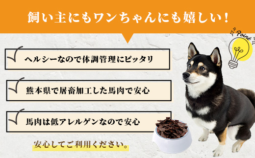 ペット用 熊本加工 手作り 馬肉 ジャーキー 【 100g 】 ドッグ フード ペット おやつ 食事 無添加 無香料 ヘルシー 高栄養 馬肉 ペット お肉専門店 熊本県 馬肉 国内加工 041-0509