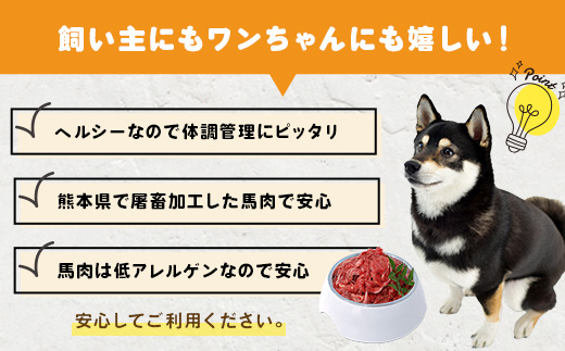 ペットフード 熊本加工 馬肉 切り落とし 【 2kg 】 ドッグ フード 無添加 無香料 ヘルシー 高栄養 馬刺し 冷凍 2キロ お肉専門店 熊本県 国内加工 041-0505