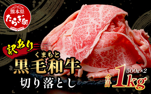 【訳あり】くまもと黒毛和牛 切り落とし 【1kg】 本場 熊本県 黒毛 和牛 ブランド 牛 肉 1キロ 大容量 上質 くまもと 訳アリ 小分け 冷凍 すき焼き しゃぶしゃぶ 113-0551