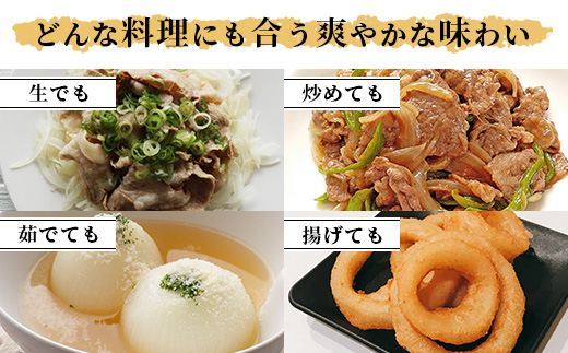 【先行予約】熊本県産 玉ねぎ 10kg (33玉前後) ≪2025年4月下旬から順次発送≫ 玉葱 野菜 数量限定 JAS たまねぎ オニオン 甘い ハンバーグ 肉じゃが 065-0637