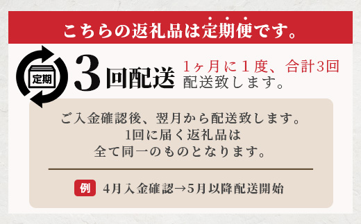 【 定期便3回 】ペット用 熊本加工 手作り 馬肉 ジャーキー 【 100g ×3回 】 ドッグ フード ペット おやつ 食事 無添加 無香料 ヘルシー 高栄養 馬肉 ペット お肉専門店 熊本県 馬肉 国内加工 041-0510