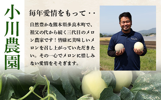 【2025年4月中旬発送開始】熊本県産 ホームランメロン 2玉  約2.5kg以上 【 ホームラン メロン フルーツ 果物 くだもの 熊本県 多良木町 】 083-0699