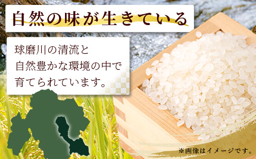 【令和7年度産 新米】球磨産 ひのひかり 精米 5kg お米 ヒノヒカリ 新米 お米 白米 036-0180