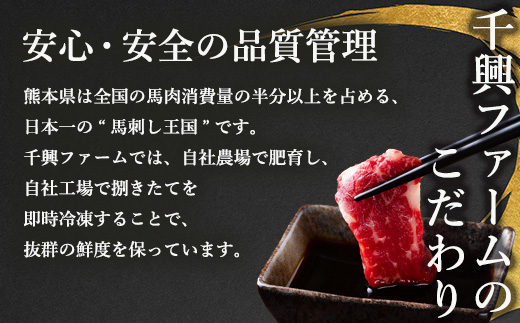 6種 馬肉 バラエティ 約540g 食べ比べ 冷凍 馬刺し 熊本 国産 馬肉ハンバーグ 刺身 生食 新鮮 ユッケ さばきたて SQF 安全 高品質 ハンバーグ 詰め合わせ 赤身 熊本 国産 小分け 031-0437