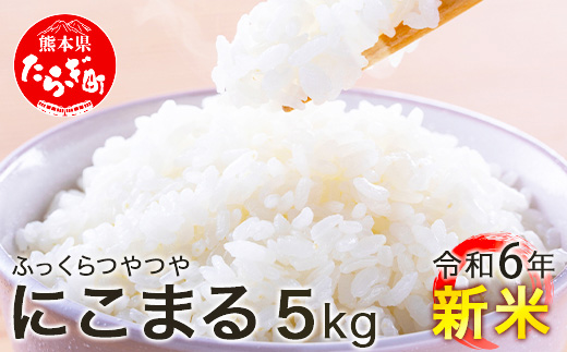  【R6年産 新米】 多良木町産 にこまる 5kg 均ちゃん農園 多良木町 精米 白米 ご飯 お米 うるち米 008-0670