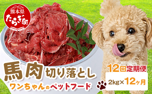 【 定期便12回 】 ペット用 熊本加工 馬肉 切り落とし 【 2kg ×12回配送 】 合計 24キロ ドッグ フード 無添加 無香料 ヘルシー 高栄養 馬刺し 冷凍 お肉専門店 熊本県 国内加工 041-0508