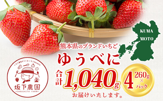 熊本県産いちご ゆうべに 約260g×4パック2026年1月～発送  産地直送 国産 新鮮 フレッシュ 果物 苺 イチゴ 103-0002