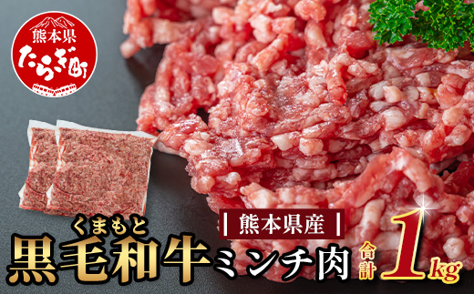 【大容量】熊本県産 黒毛和牛 ミンチ1kg (500g×2) 本場 熊本県 黒毛 和牛 国産 牛肉 ミンチ肉 挽肉 ひき肉挽き肉 ブランド 牛 肉 上質 ハンバーグ 7000円 113-0545