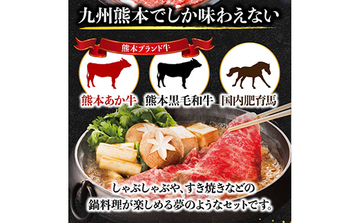 熊本県産 和牛 馬肉 しゃぶしゃぶ 食べ比べ セット 計900g 【 黒毛和牛 和牛 あか牛 赤牛 しゃぶしゃぶ用 高級 】 058-0685